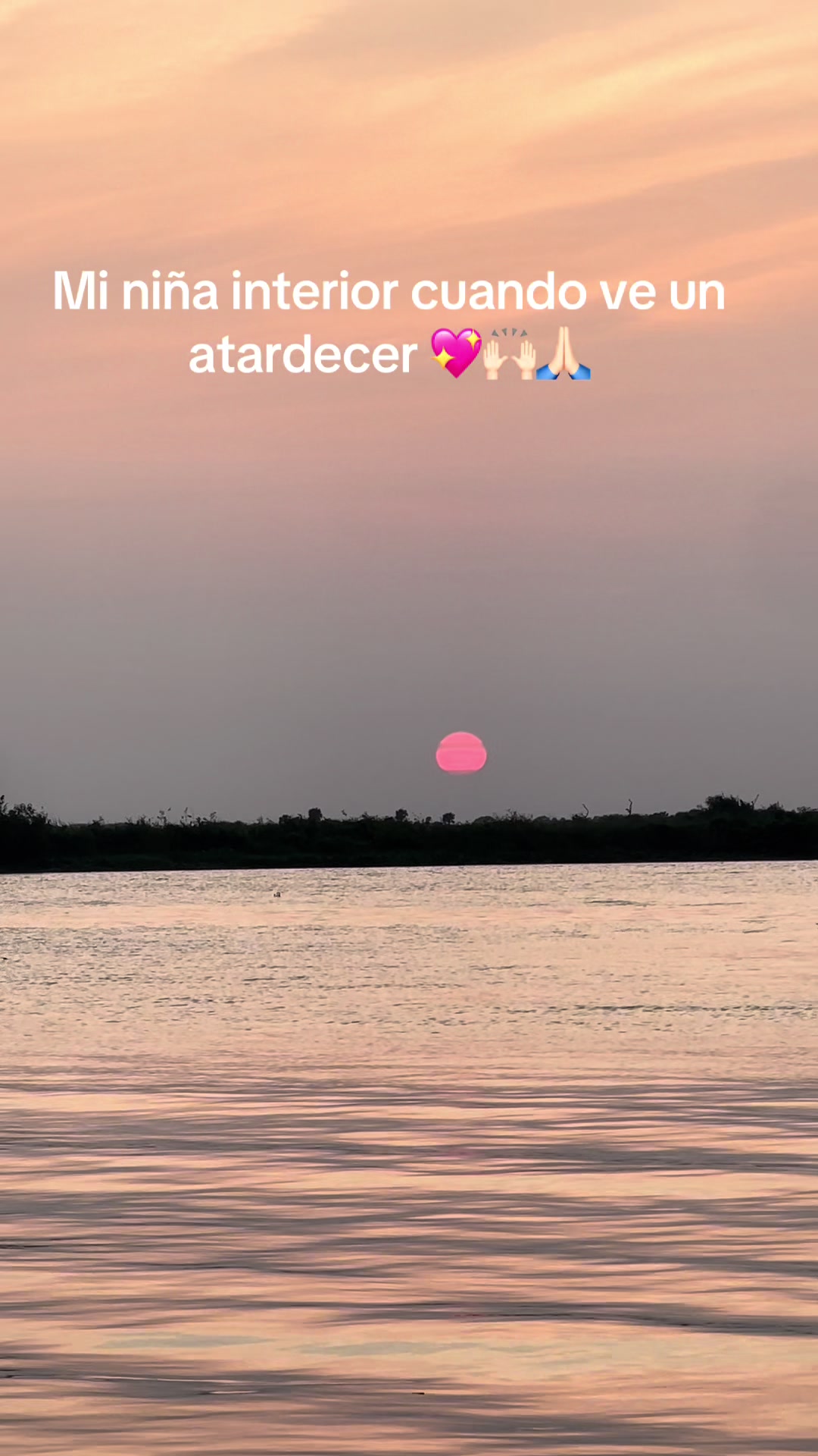 @Estrella Estrada