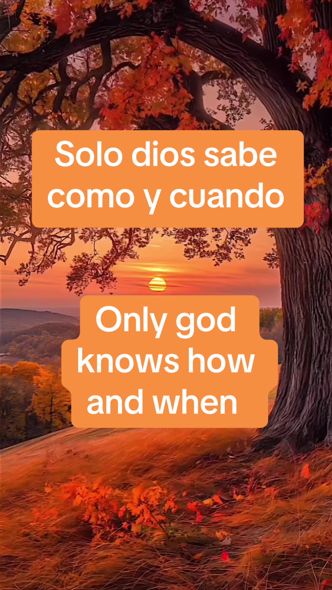 @Anahi