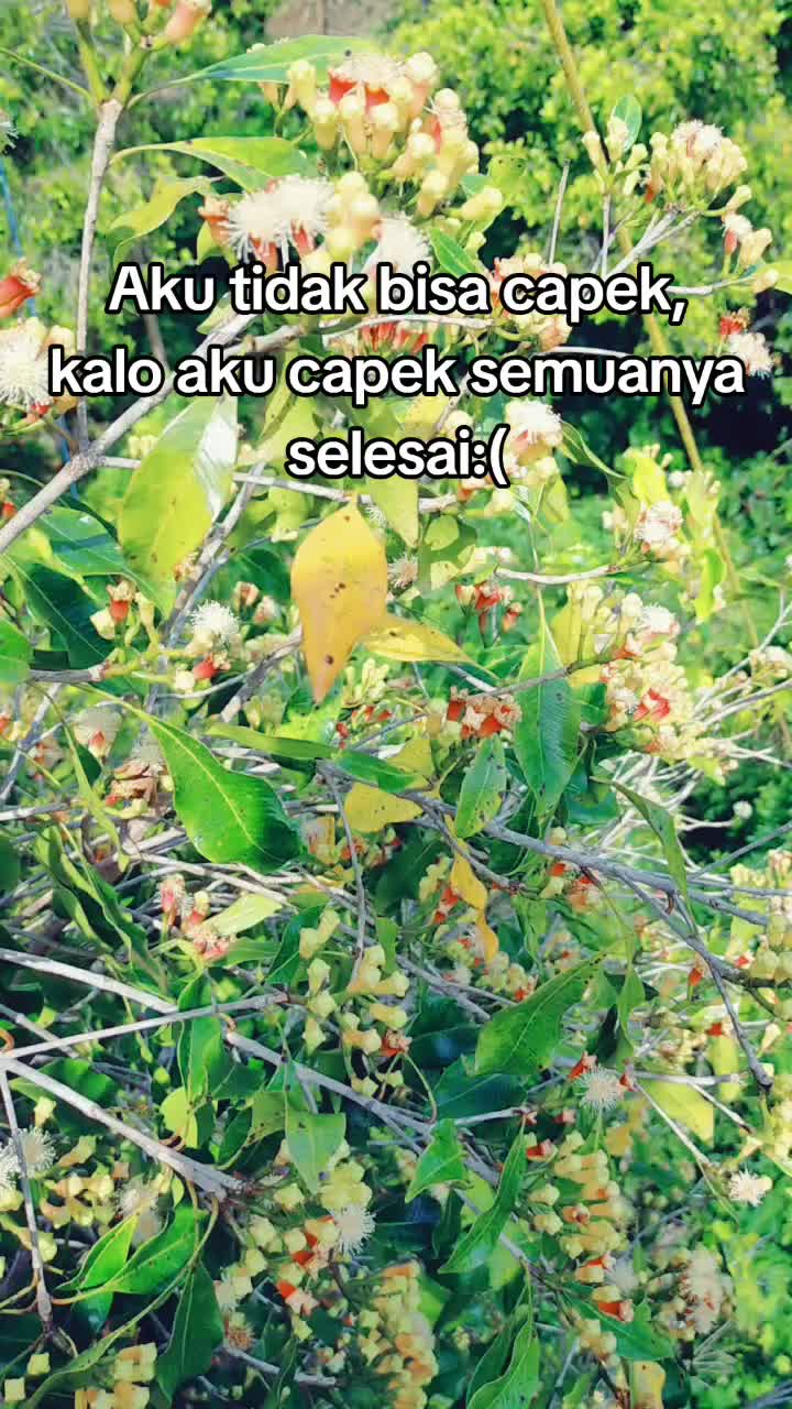 @โ๏ธ๐
ฑ๐
ฐ๐
ฝ๐
ถ ๐๐
ธ๐
ป๐
ปโ๏ธ