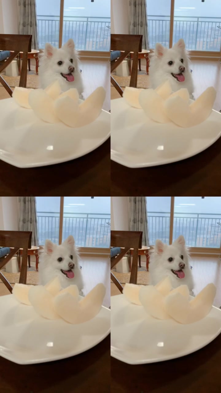 @์๋ Schnee