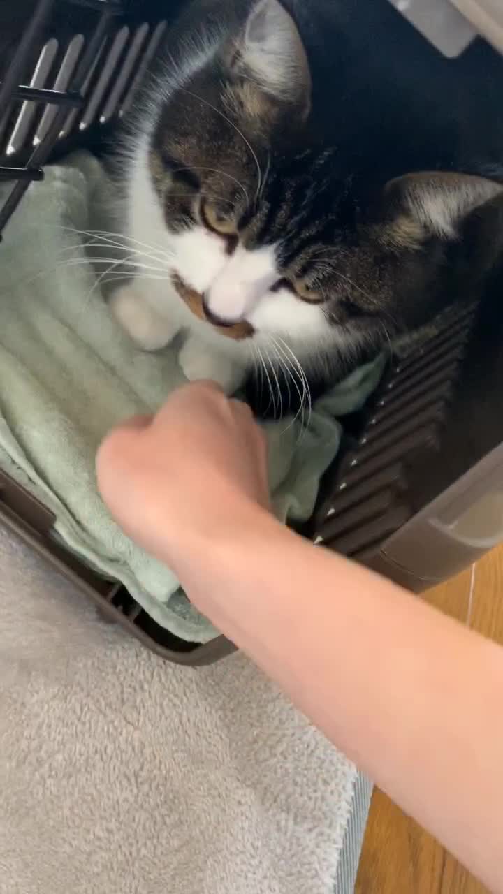 @°ส๐ฉตษ°