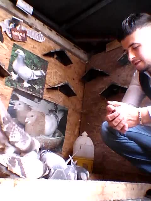 @Barış karaca