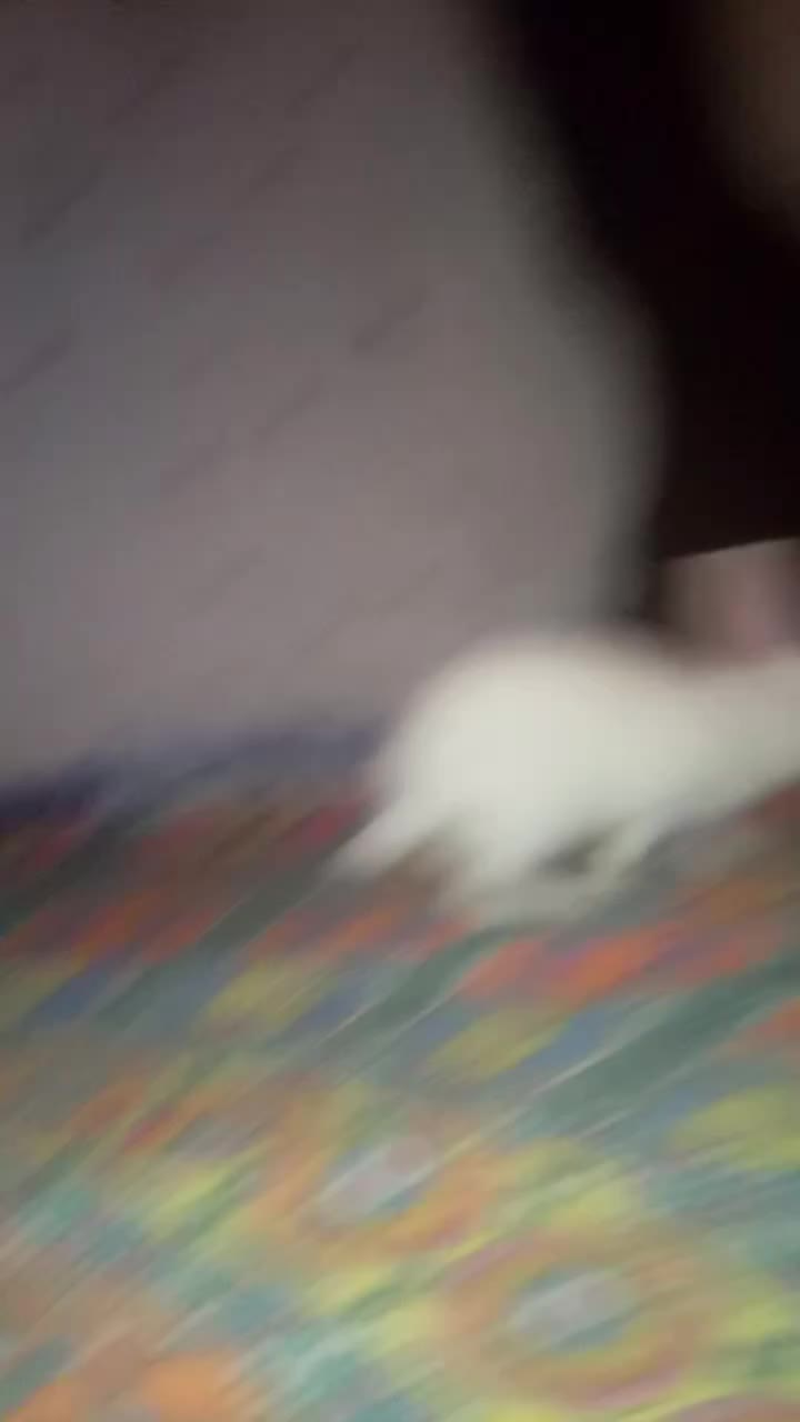@Heart Hacker