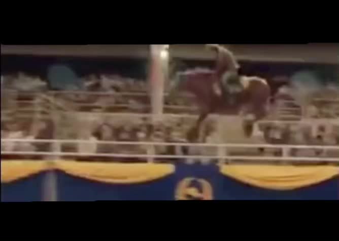 @🏇🏻 нorѕe rιdιng 🏇🏻