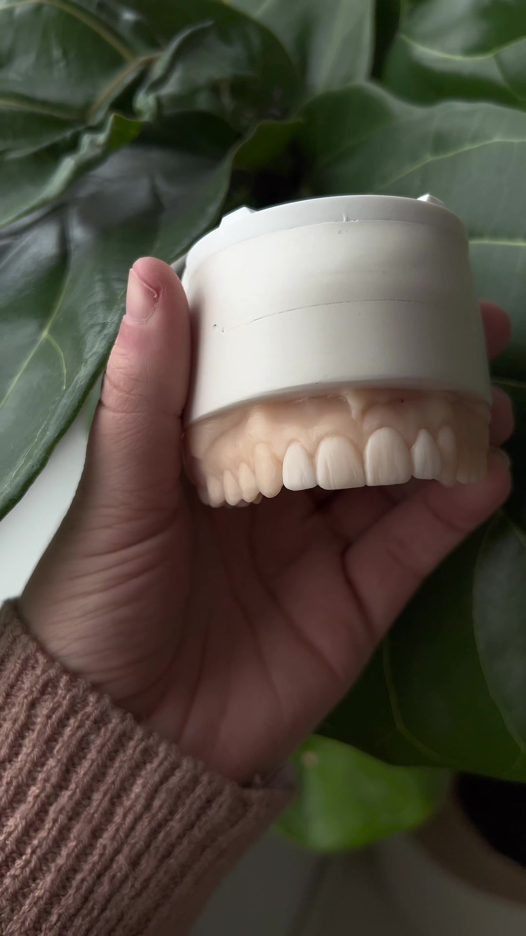 @Utah Valley Dental Lab