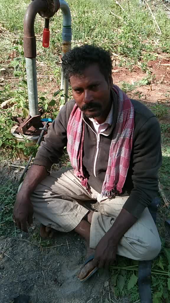 @user2337518369176