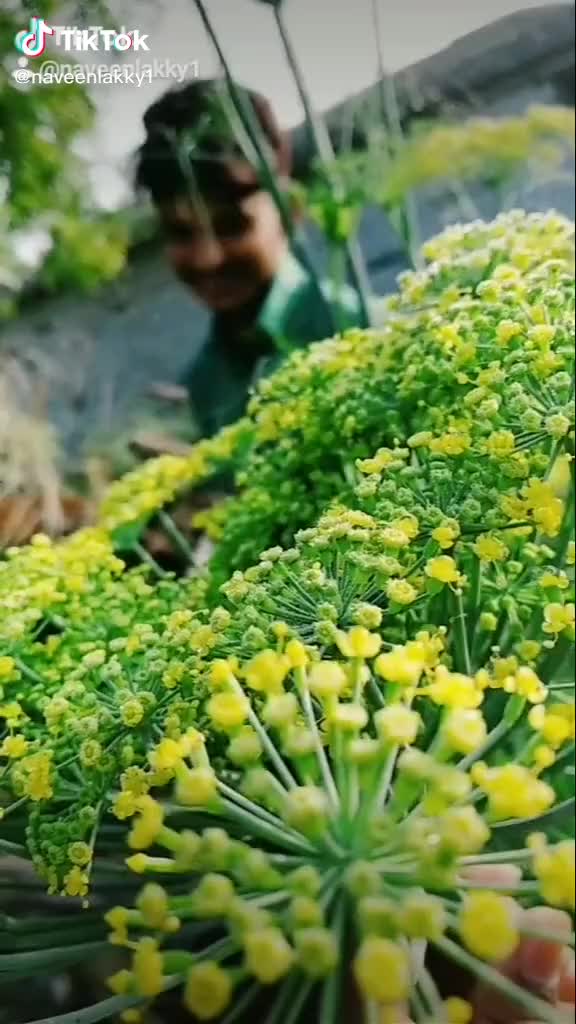 @Naveen Lakky