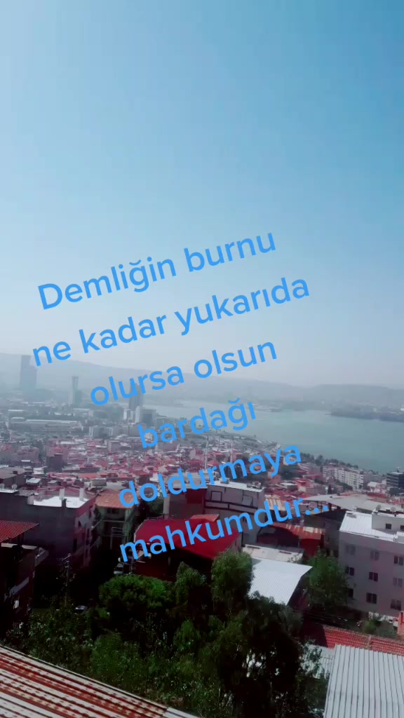 @fundaarducoglu45