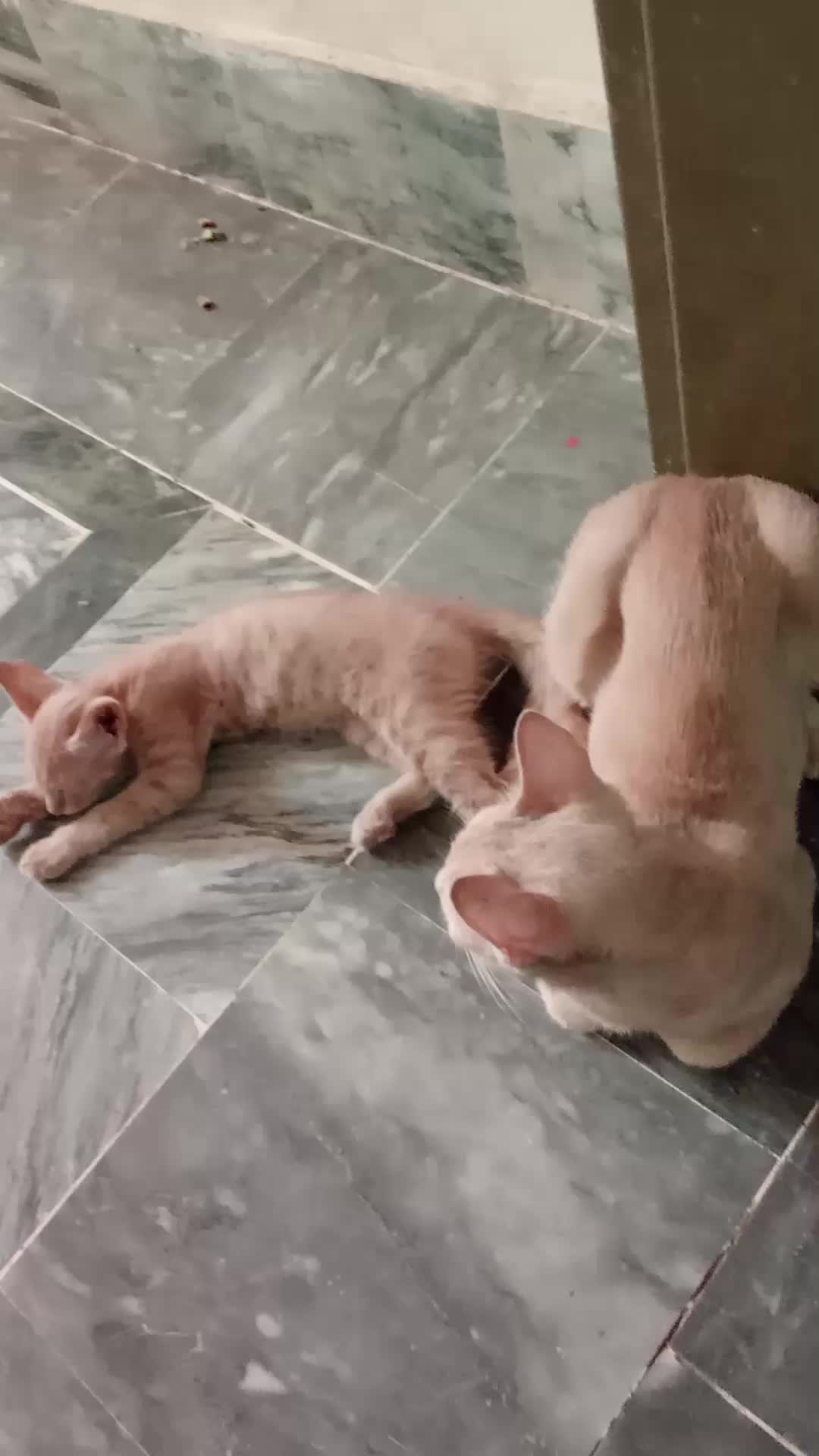 @cutecatlover8172