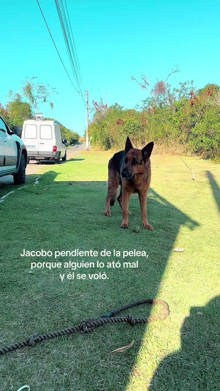 @locosdeandar
