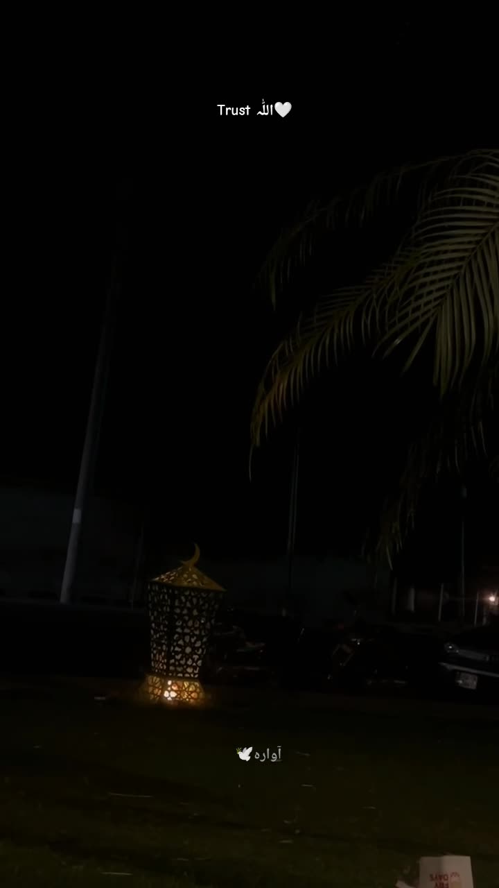 @آوارہ🕊️