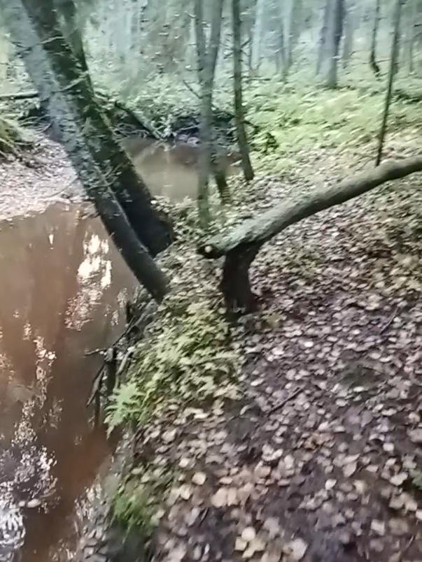 @LEMPEÄ JÄTTI