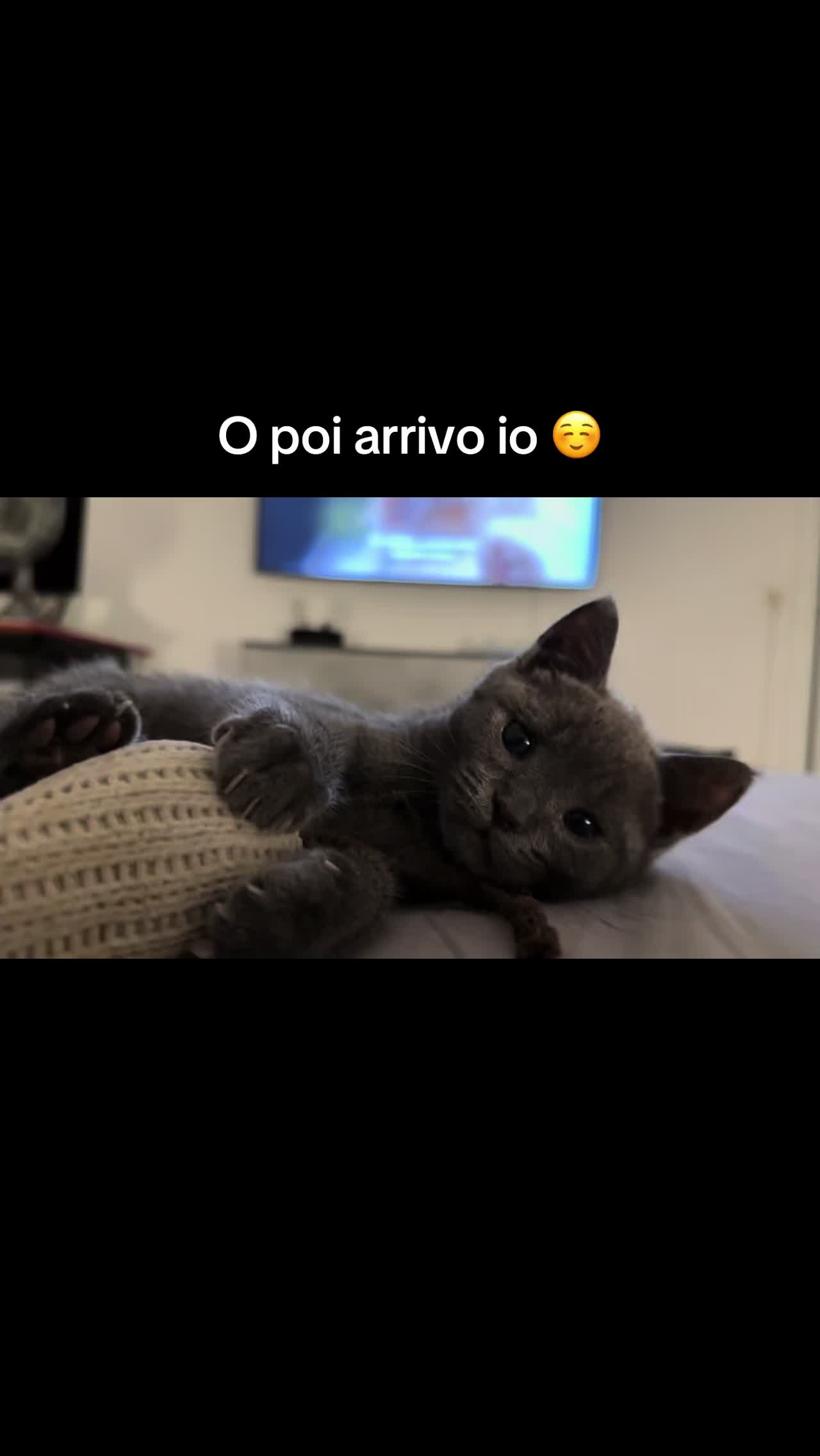@Nuvole
