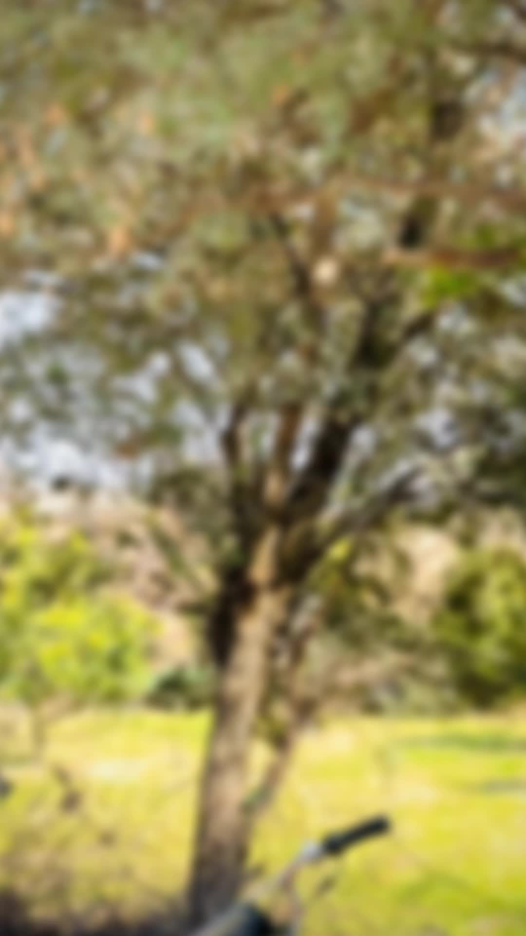 @🚩 Ammar Ali 🚩