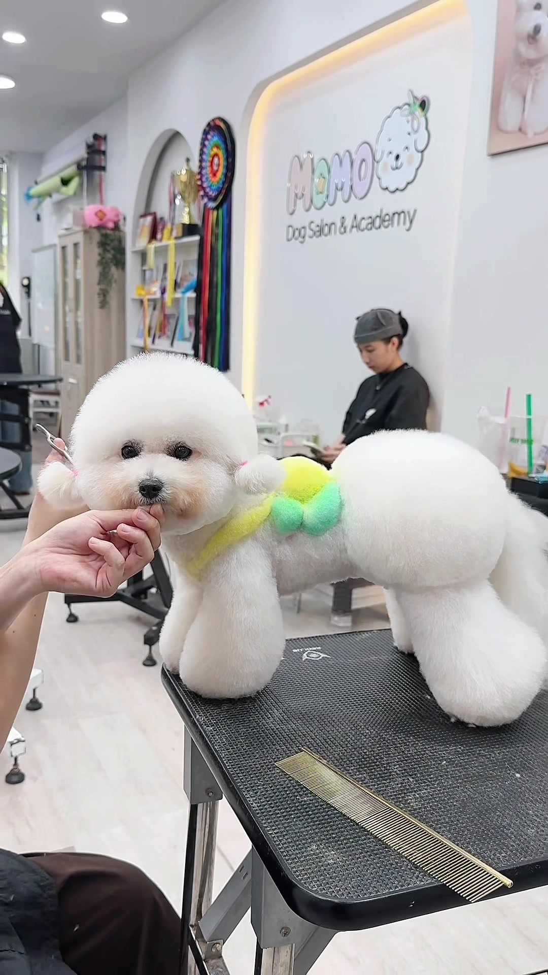 @TuongVan Petstylist