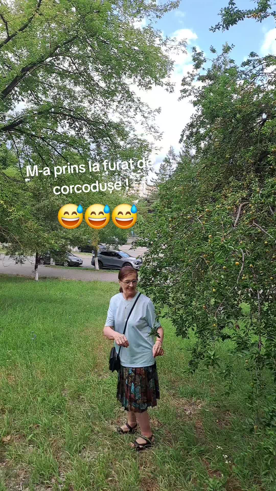 @Antonica Teleaga
