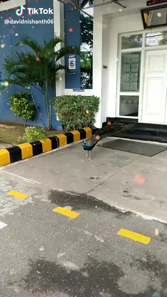 @Naitik Bavadiya