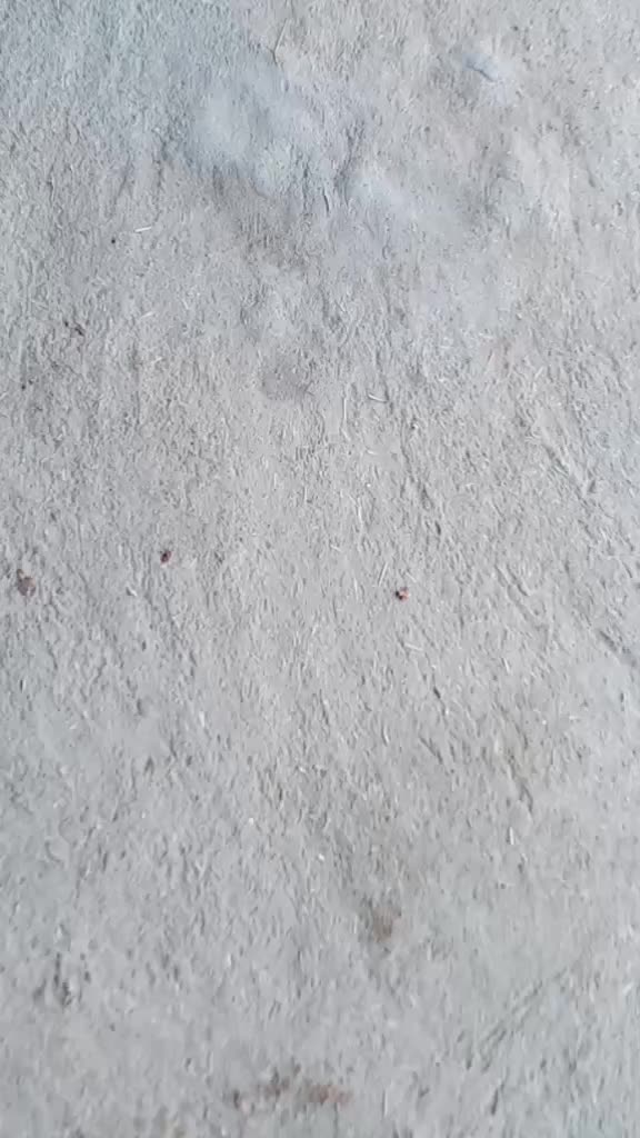 @Nayak Gautam