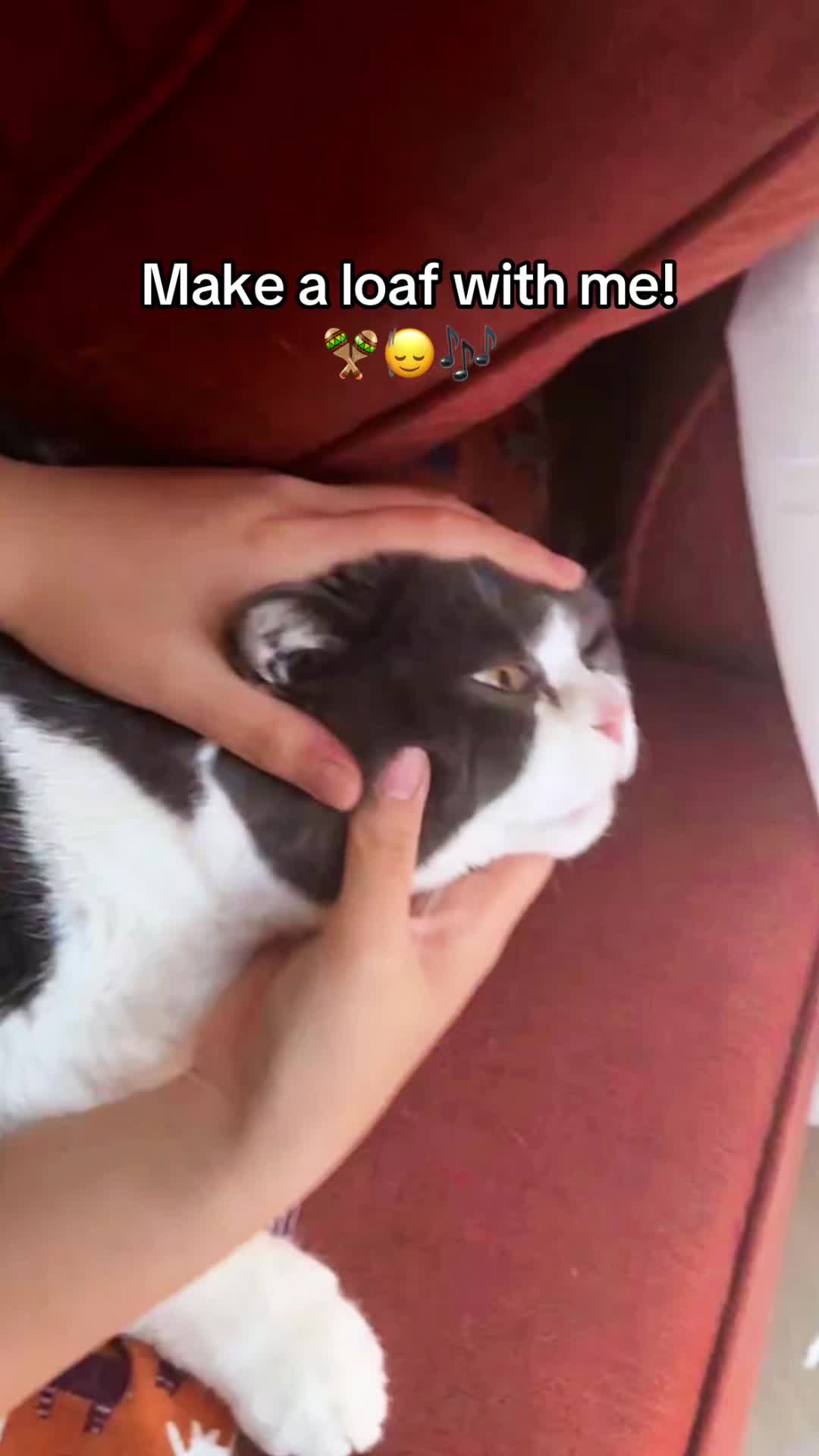 @Emojithecat
