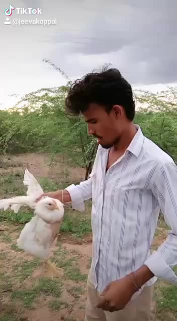 @ಕೊಪ್ಪಳ ಅಂಬಿಗರ ಹುಡುಗ