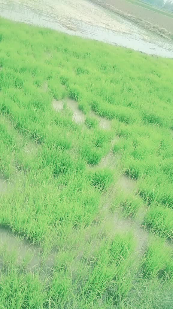 @Dinu Dumerkha 45