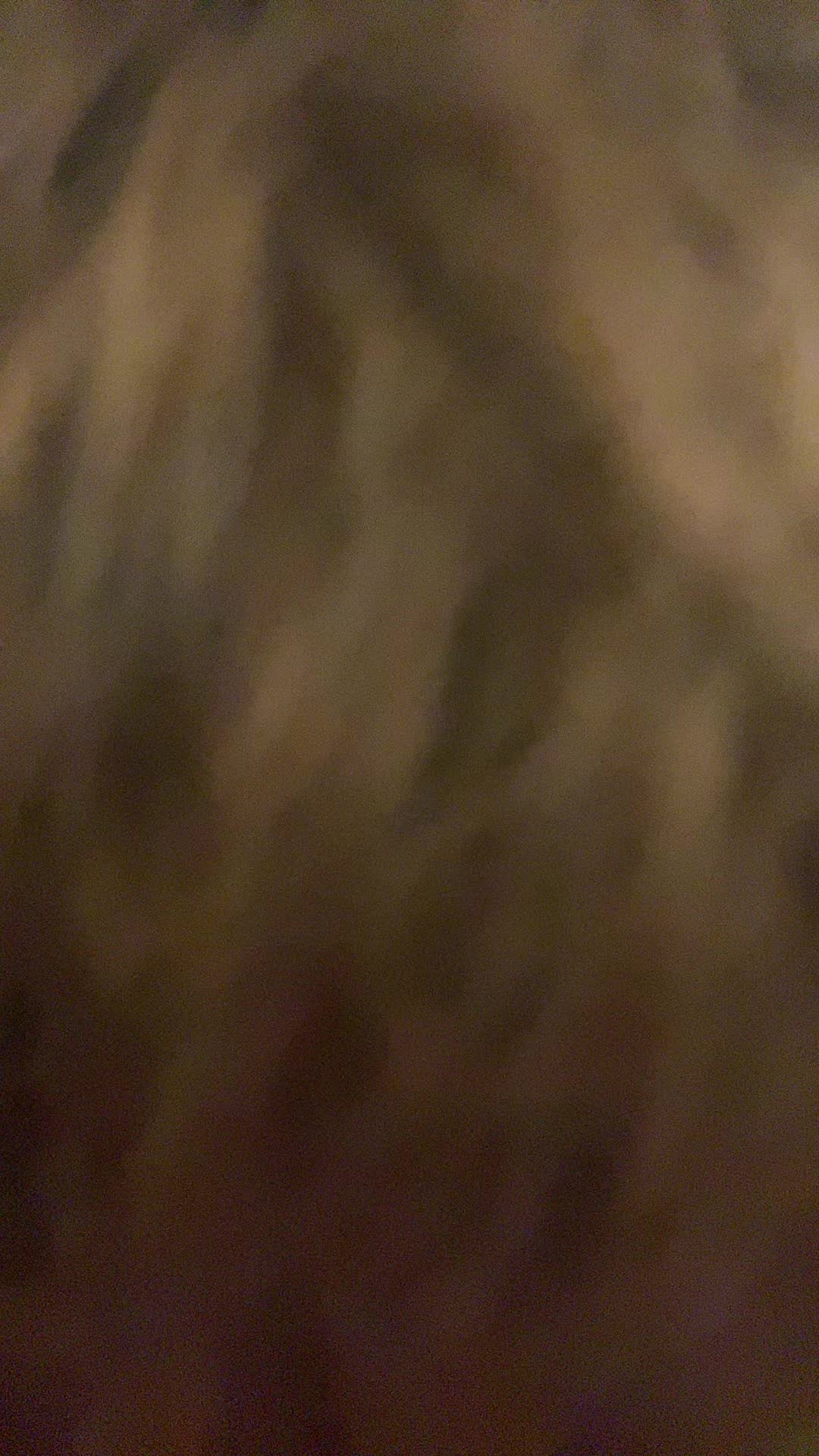 @jaka