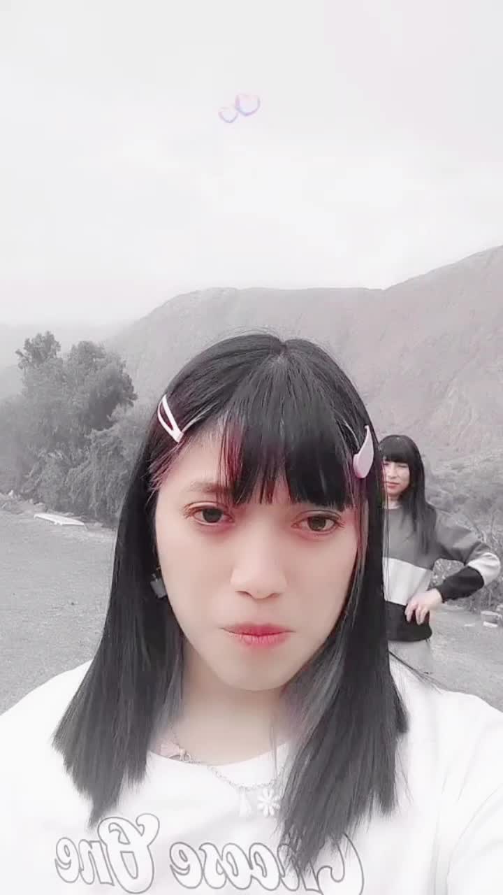@Ai Doll Team