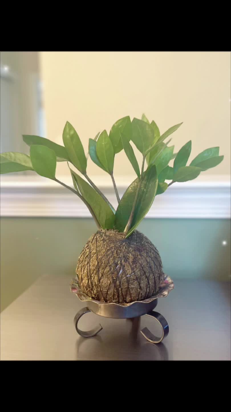 @Art-Plant-Upcycle