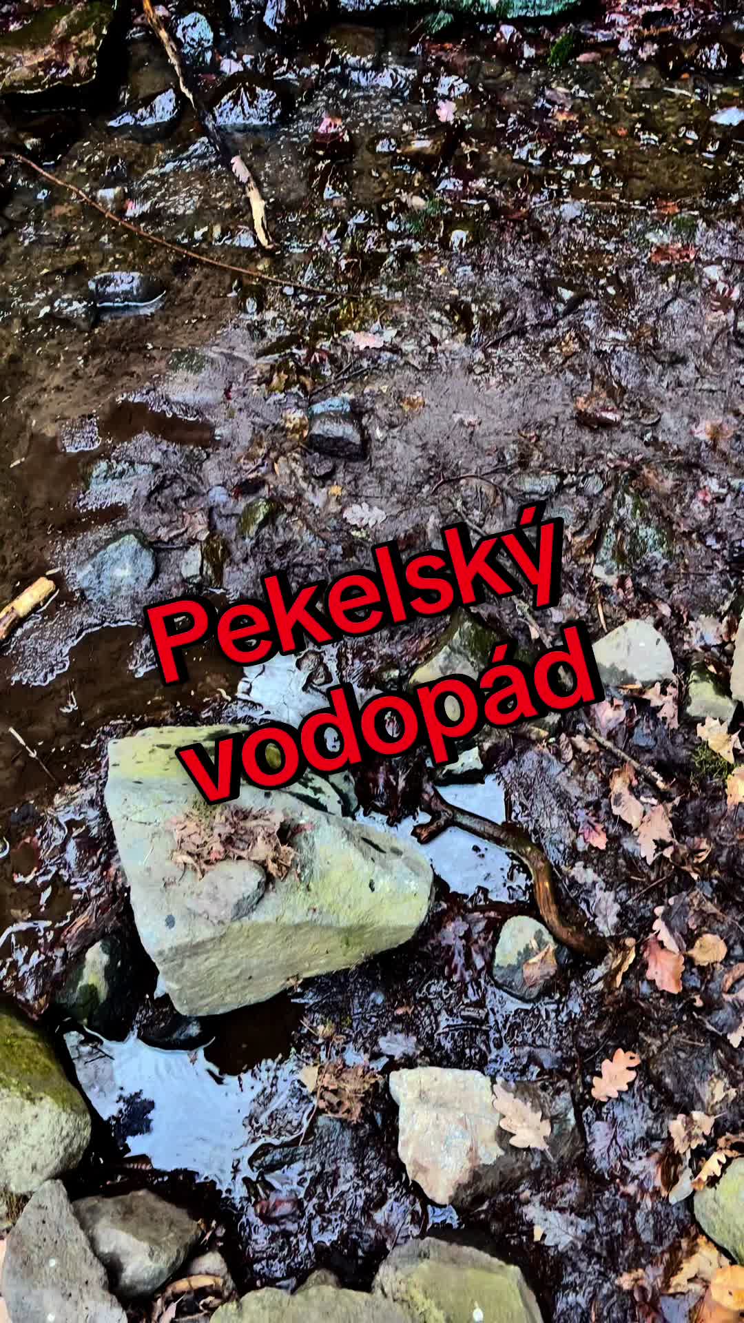 @Tlustej_plešoun