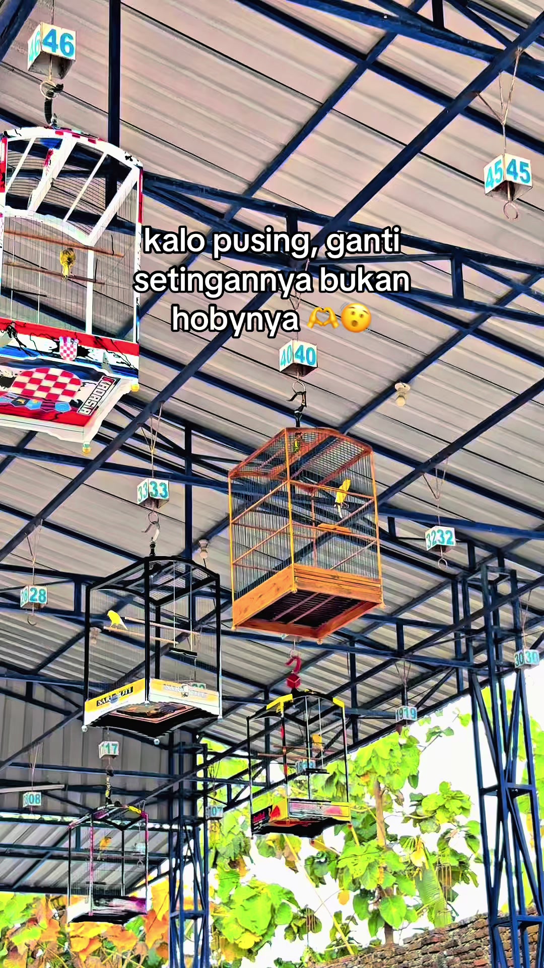 @Dirga Putu