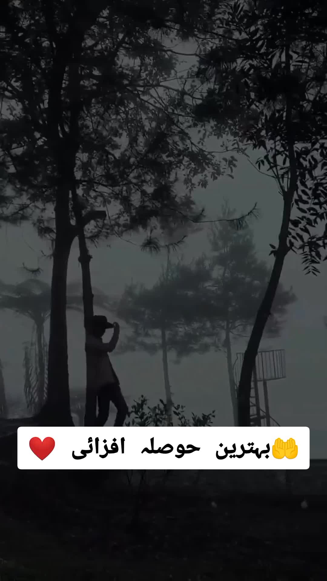 @mustakeem مستقیم احمد ❤️🤲💚