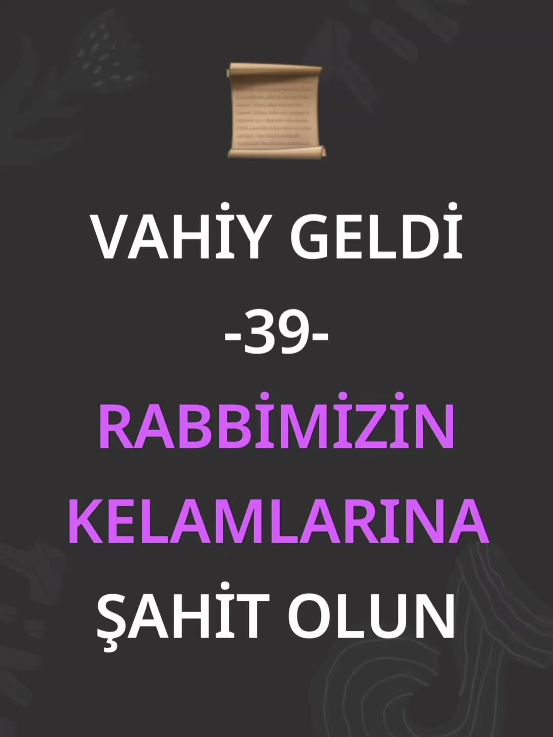 @Adedi berrak ahi