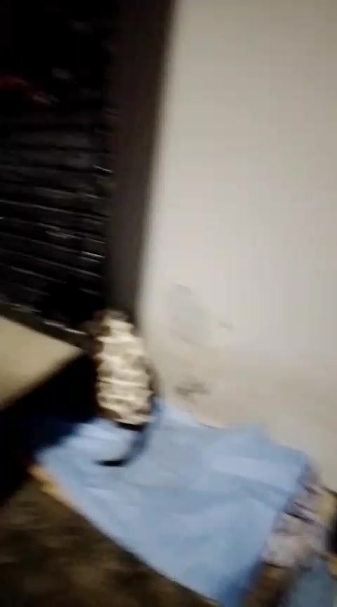 @Ed&ensp;pet