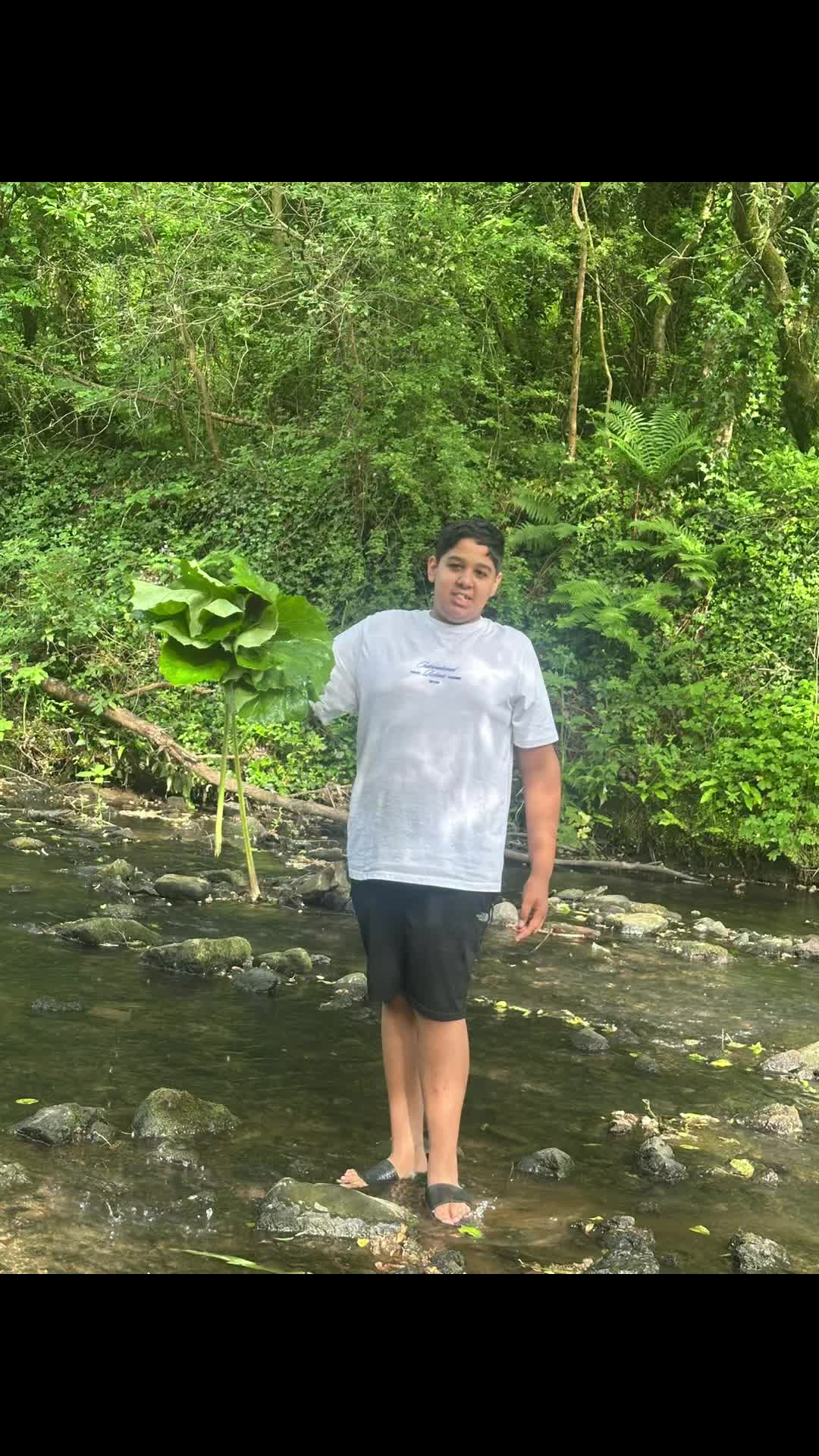 @Sajrizo