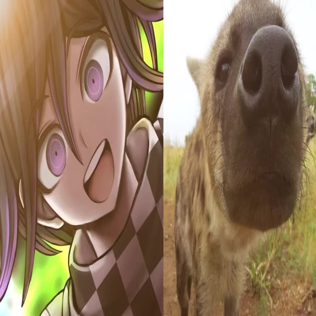 @🍬
