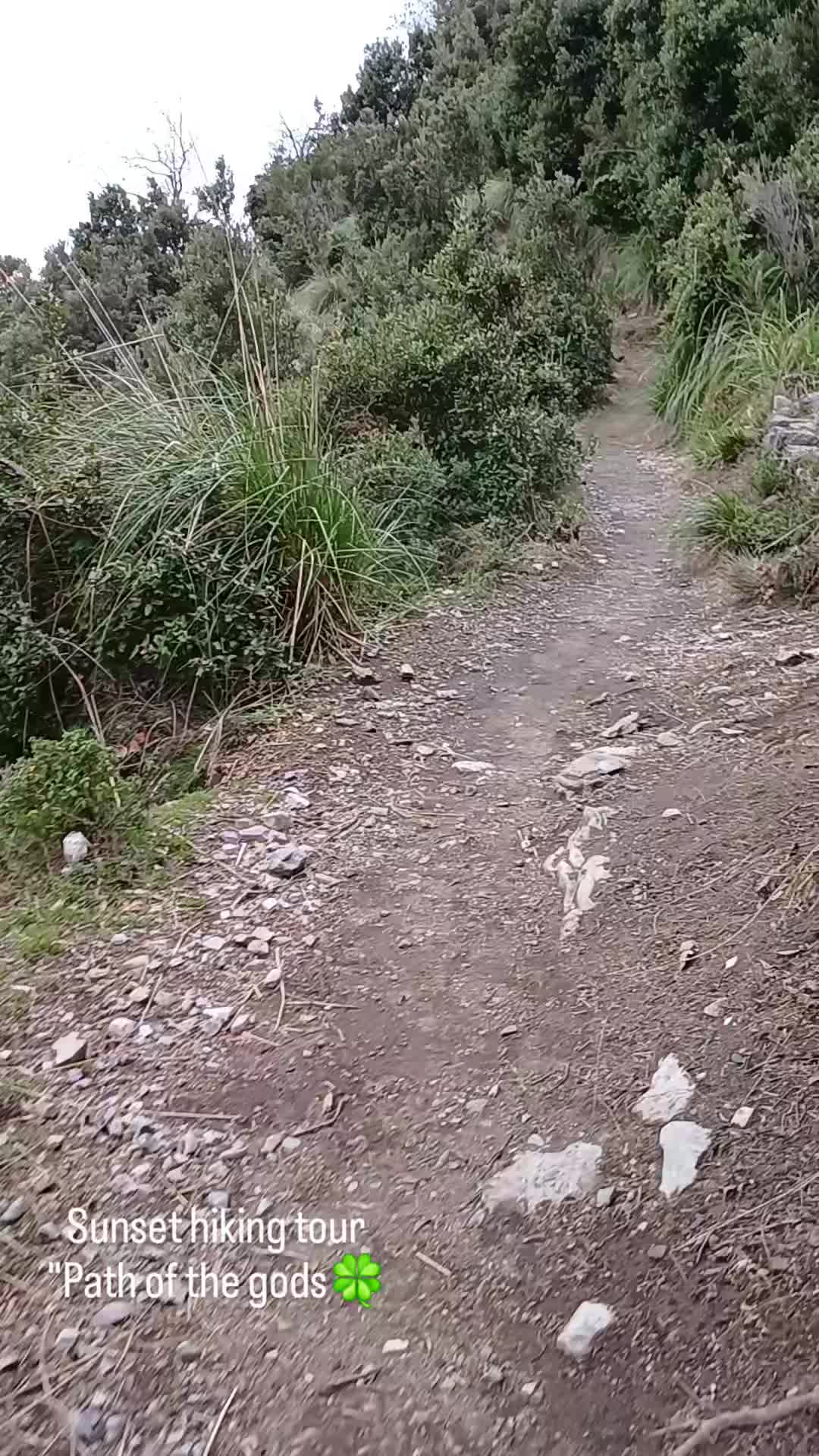 @CostaNaturaTrekking🍀🐞😎
