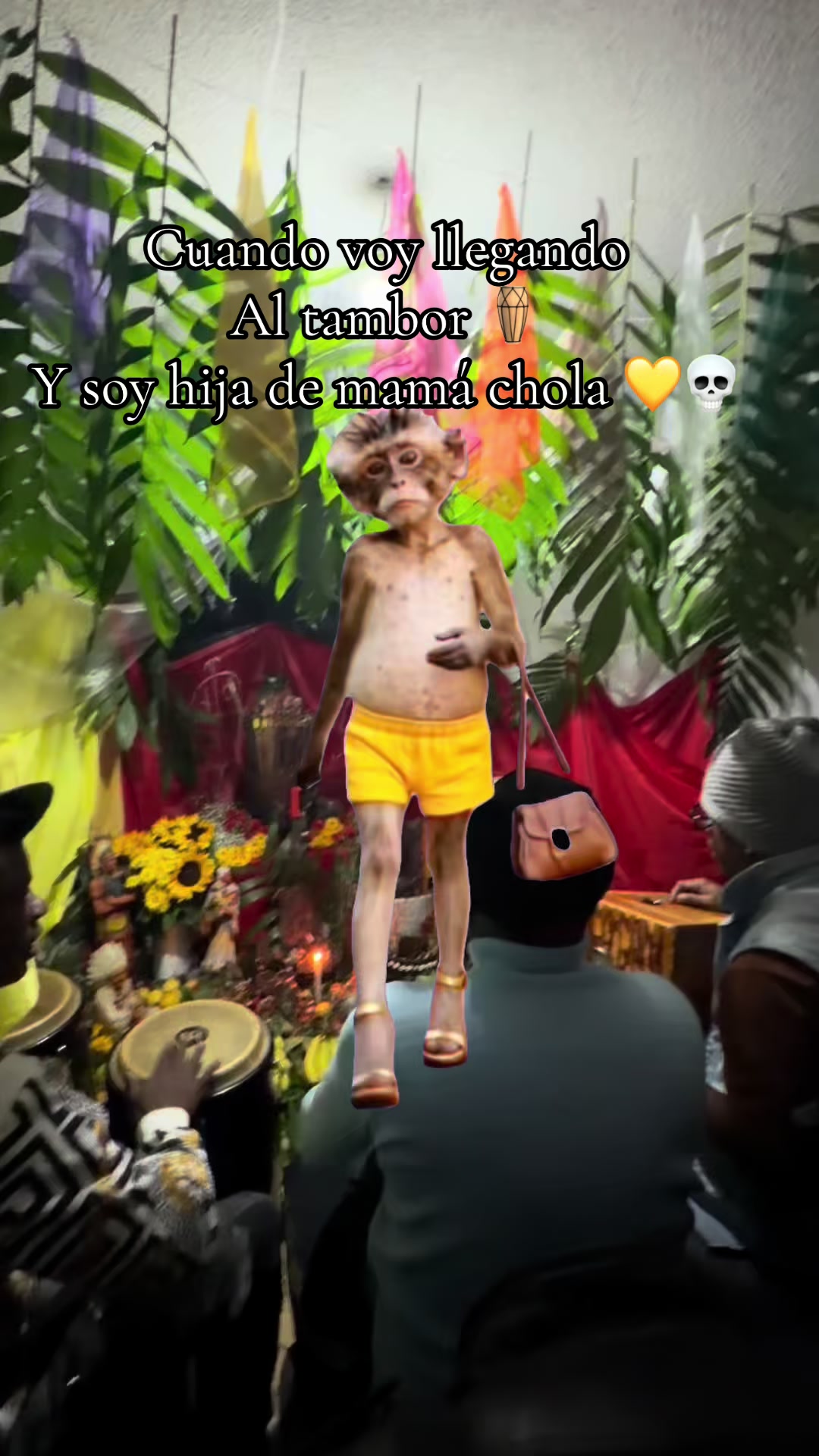 @sandyeleguacita