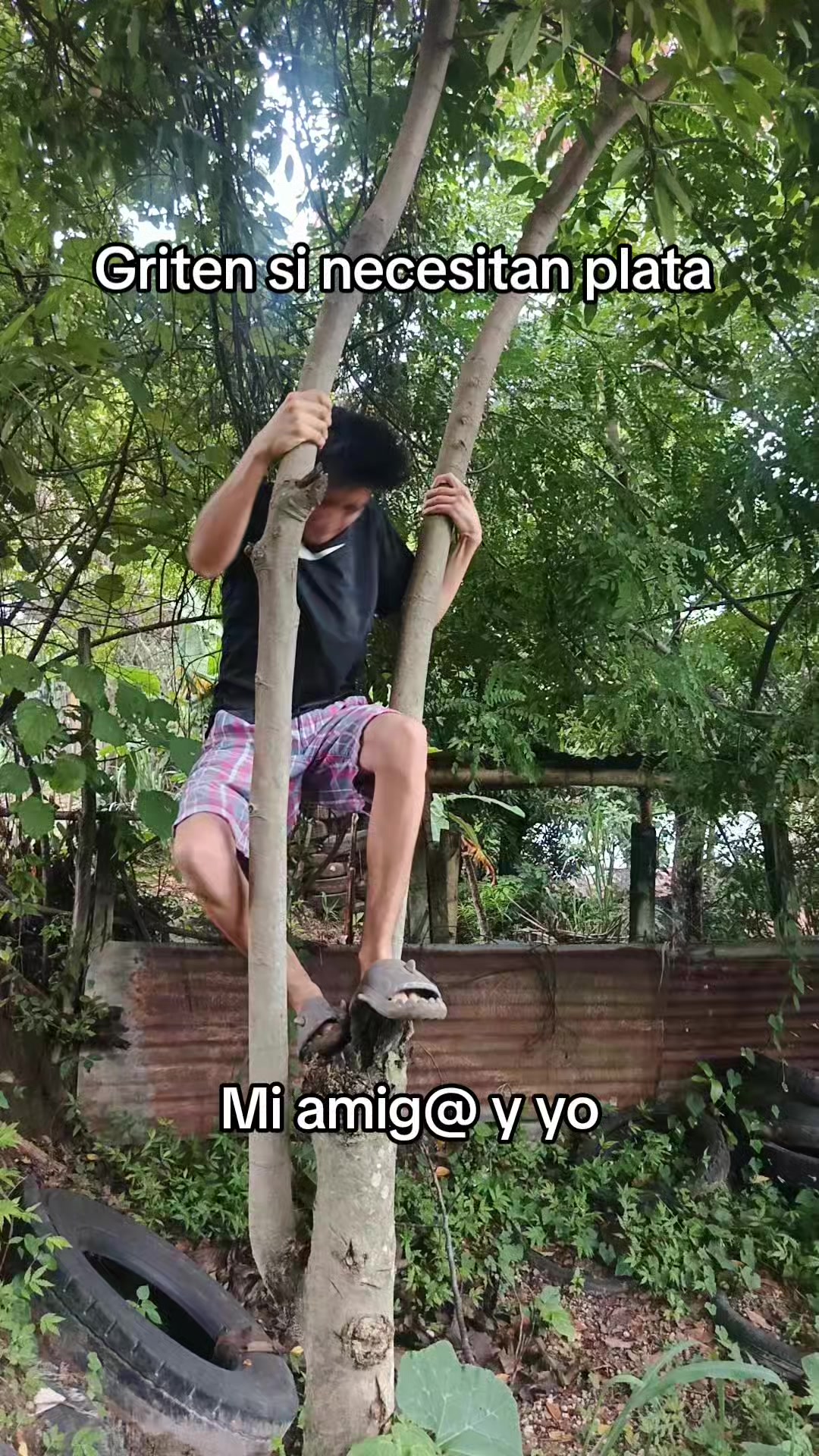 @Tonny Torres