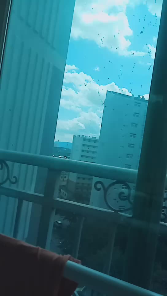 @☃하이☃