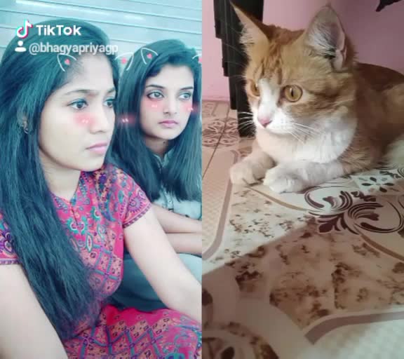 @Aliya Shajahan