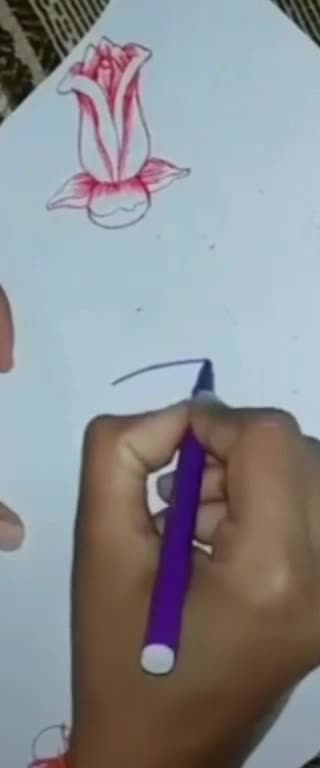 @tiktok