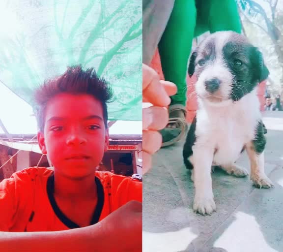 @Aakash Gundiya