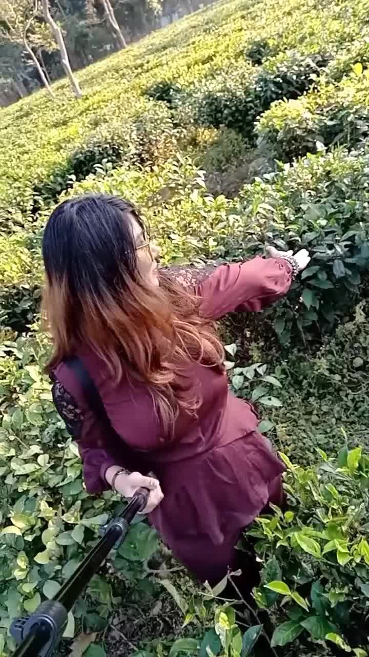 @deepikashakywanshi