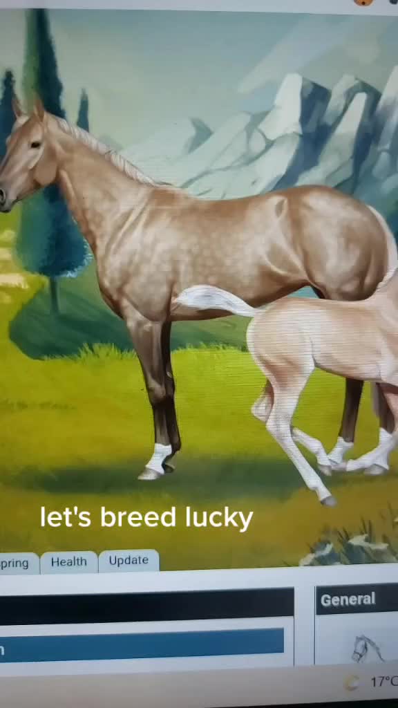@horse reality