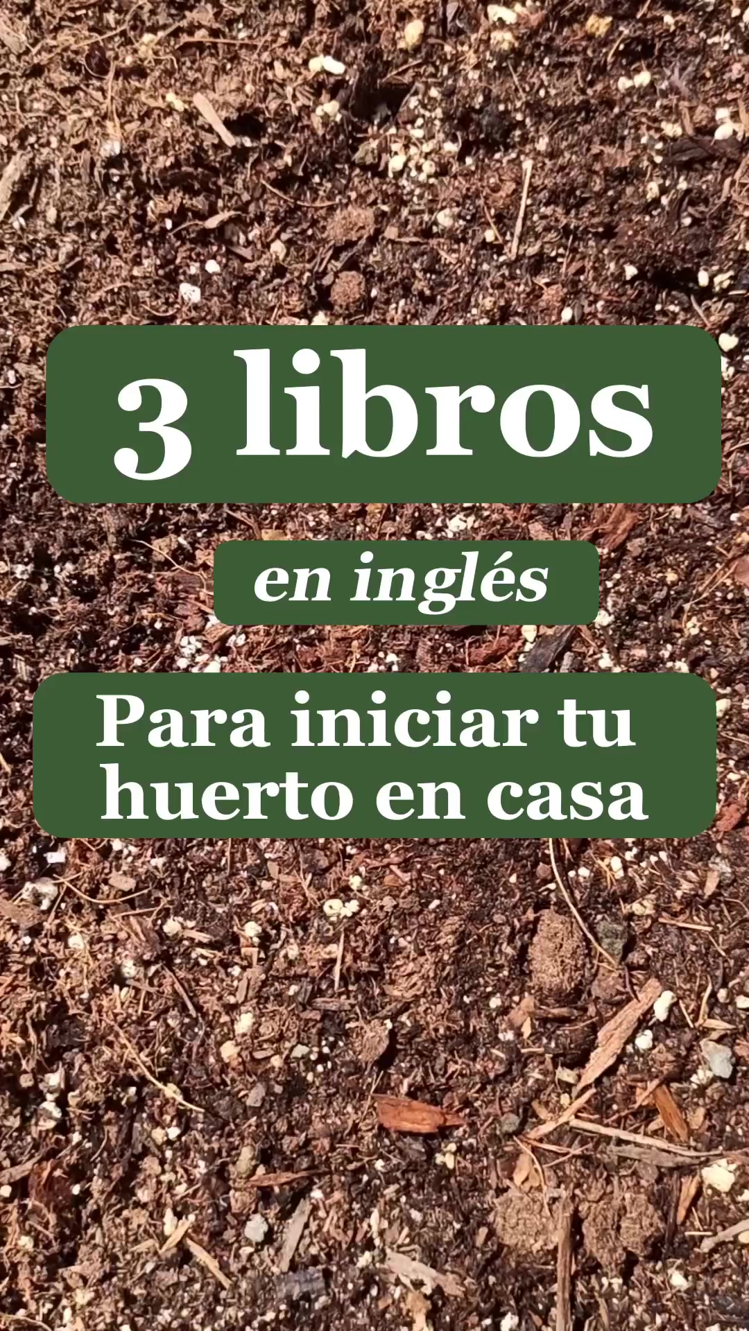 @Local Garden Mty