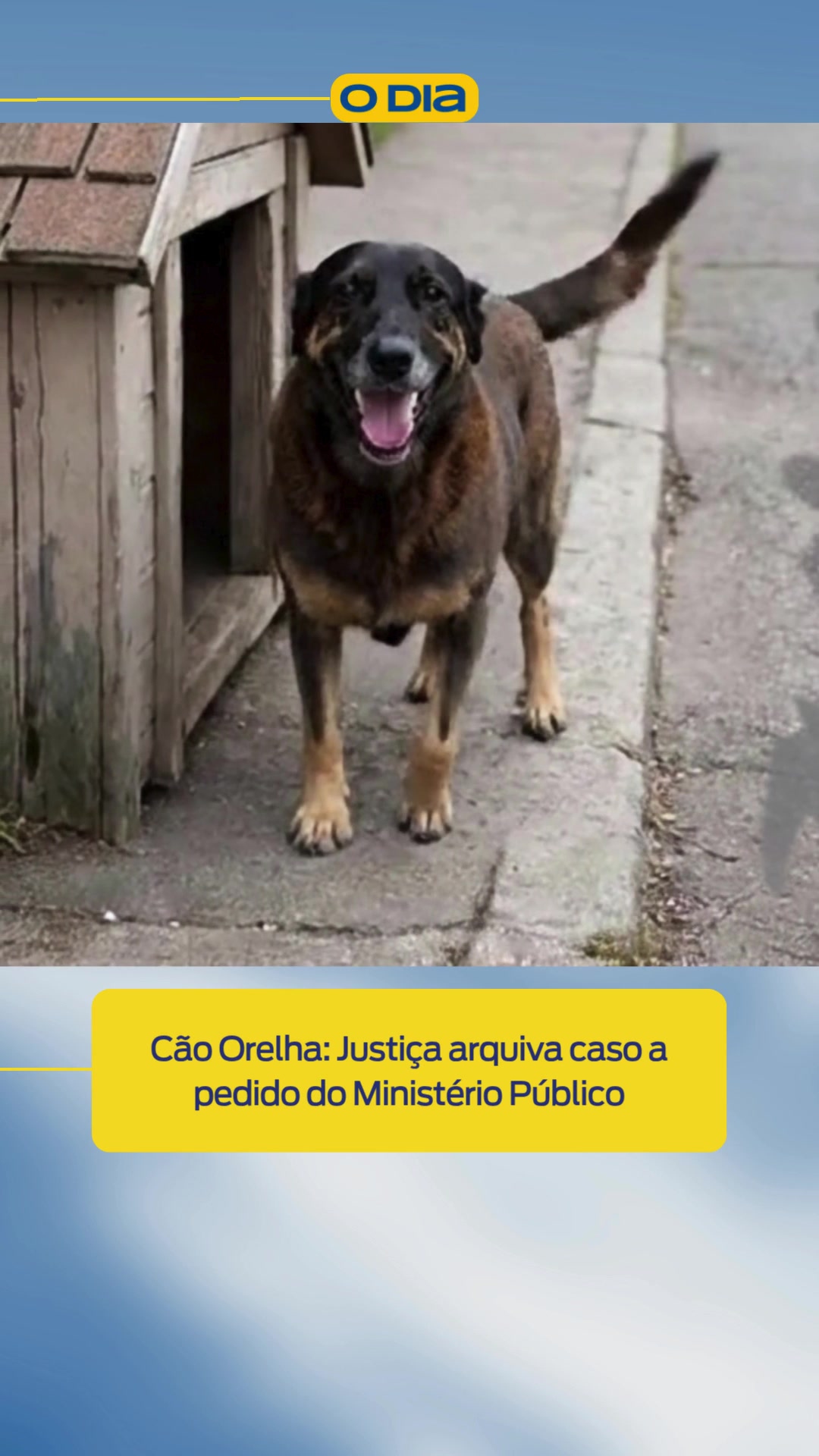 @Jornal O Dia