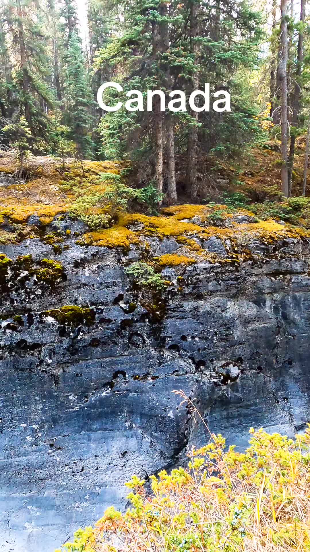 @Lost In Canada