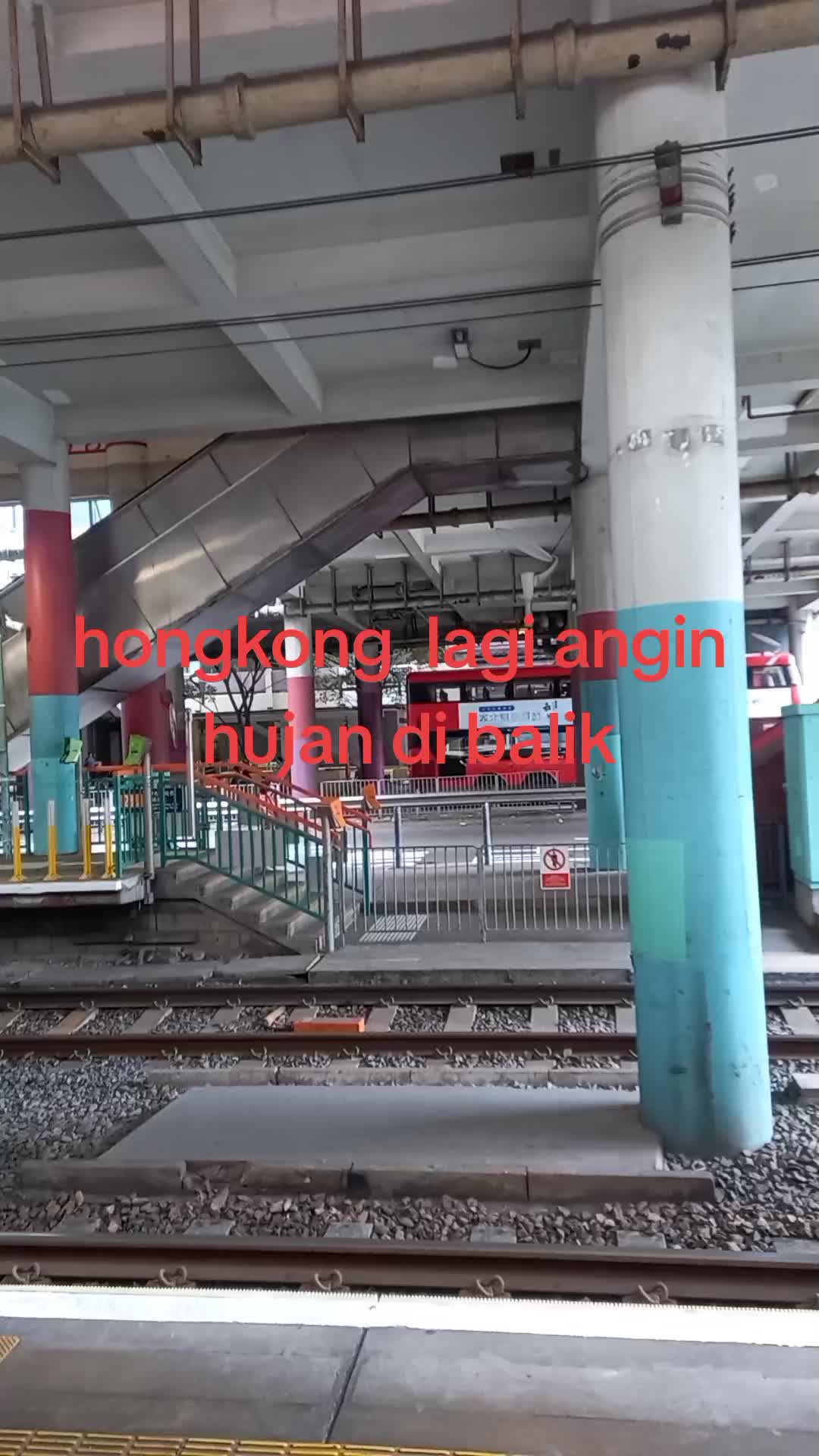 @Janda kembang merah.