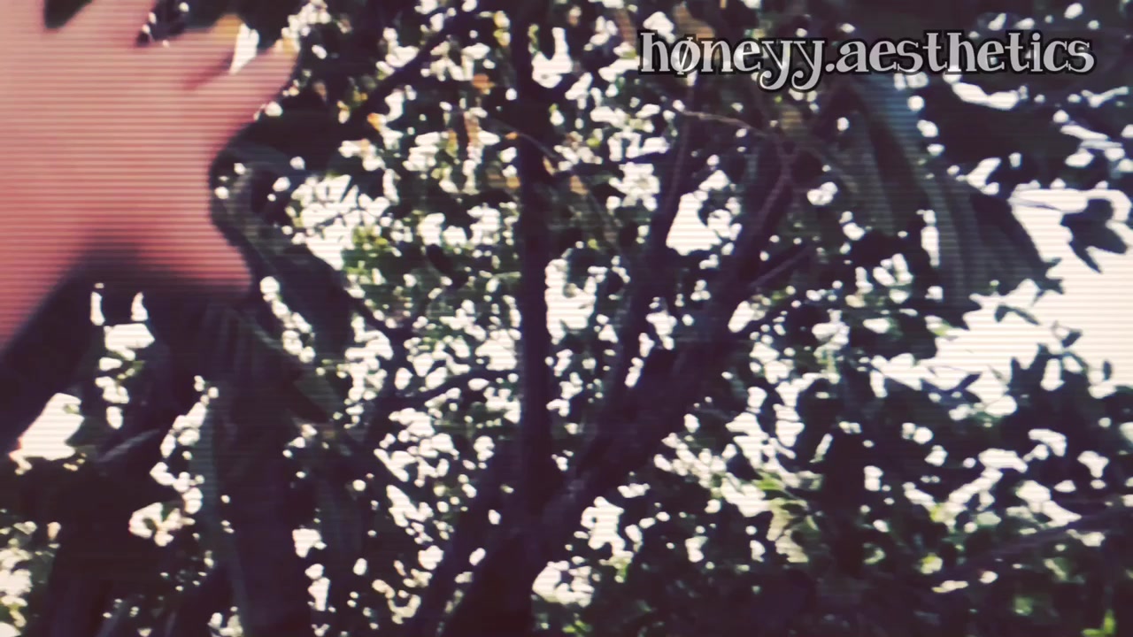 @🐝høneyy.aesthetics🍯