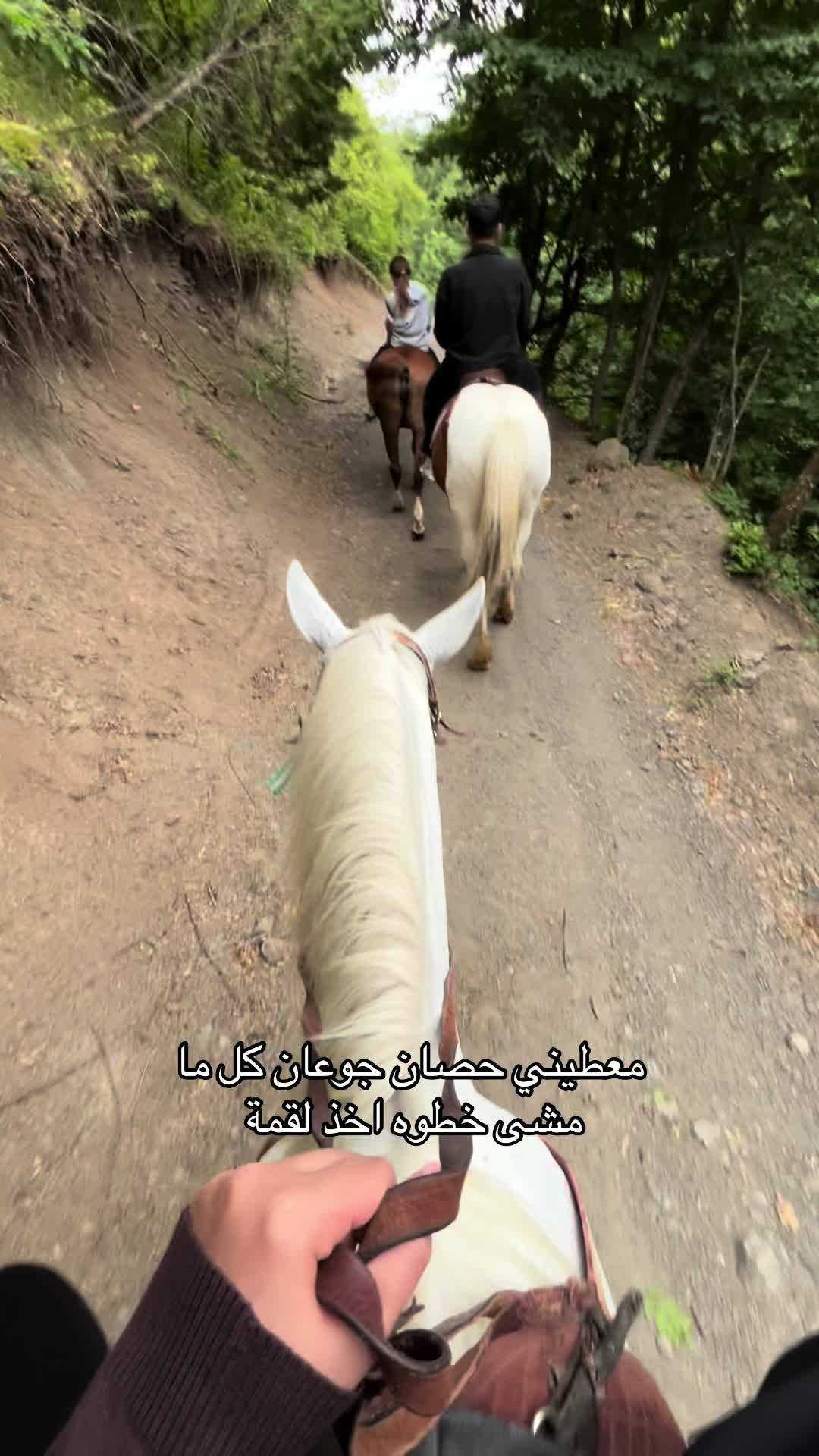 @إيلاف الشهري